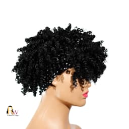 Rakeeri Black Pineapple (Polkadots), Pineapple afro curls Trend Wig Styles for Kenya